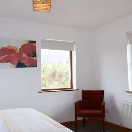 Mount Brandon Haven دينغل